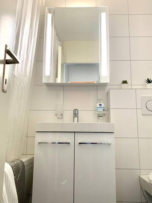 Appartamento Little Penthouse **** Dietikon Esterno foto