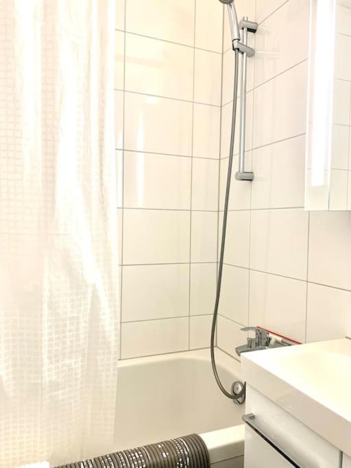 Appartamento Little Penthouse **** Dietikon Esterno foto