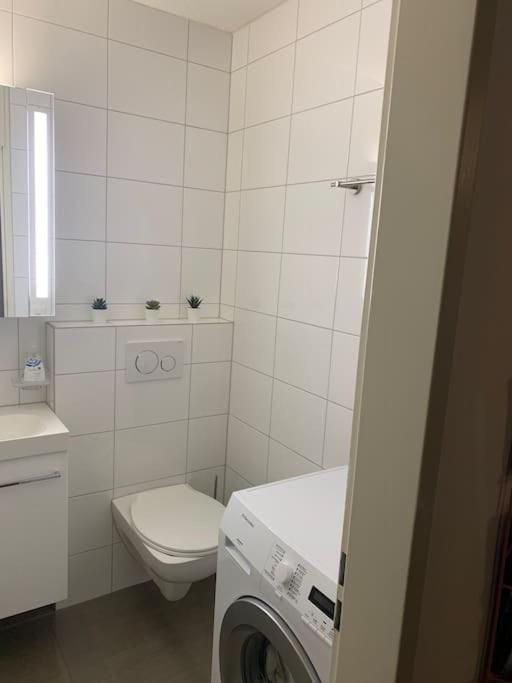 Appartamento Little Penthouse **** Dietikon Esterno foto