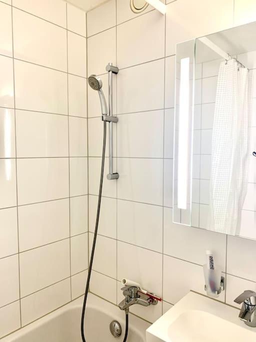 Appartamento Little Penthouse **** Dietikon Esterno foto