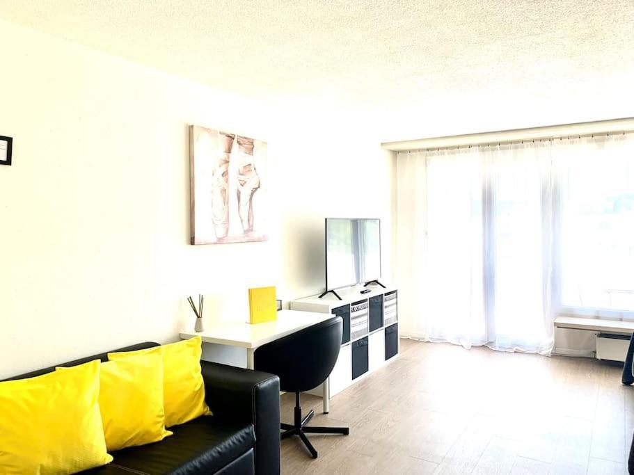 Appartamento Little Penthouse **** Dietikon Esterno foto